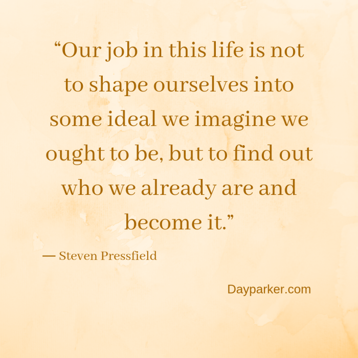 “Our job in this life is not to shape ourselves into some ideal we imagine we ought to be, but to find out who we already are and become it.”